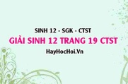 Giải Sinh 12 trang 19 Chân trời sáng tạo SGK